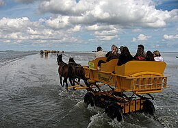 Escursione in carrozza sull'isola con la bassa marea