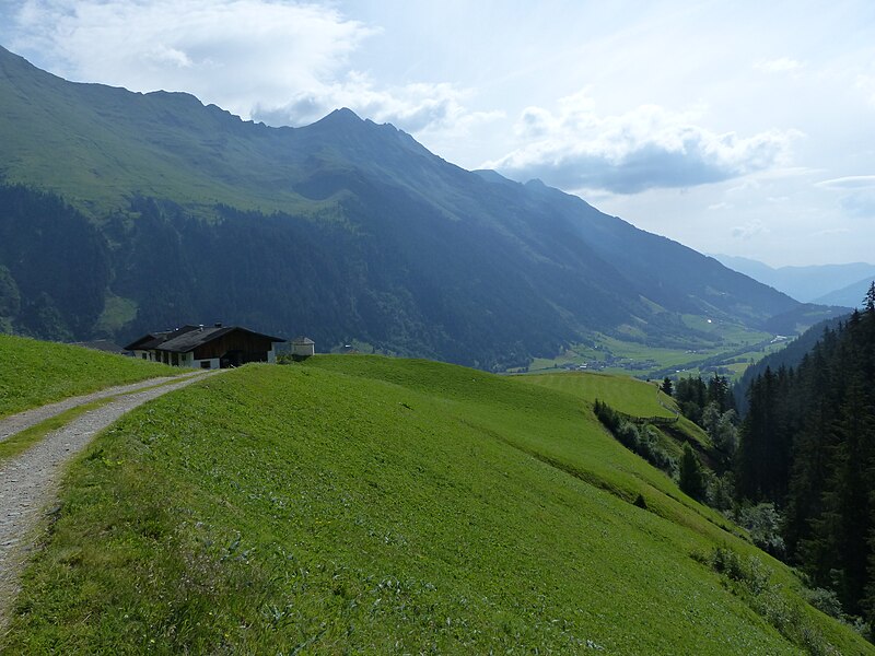 File:Weg ins Staudenbergtal.jpg