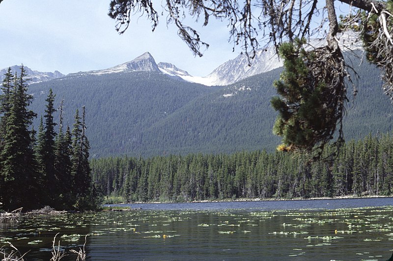 File:Widgeon Lake, 1981 02.jpg