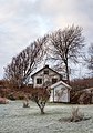 "Wind-swept_trees_at_a_house_in_Holländaröd.jpg" by User:W.carter