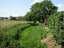 The River Winterborne at Winterborne Kingston. Winterborne Kingston, Winterborne River - geograph.org.uk - 1373759.jpg