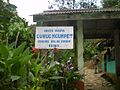 Pintu masuk Curug Ngumpet