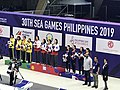 Thumbnail for List of 2019 SEA Games medal winners