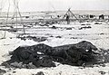 View of the destroyed Lakota Pine Ridge Indian Reservation