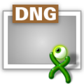 Xee dng file