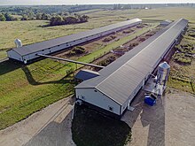 A yarding poultry farm in Vernon County, Wisconsin. Yarding poultry farm 01.jpg