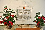 Yazlovets-grobnytsia-Darovskoi-14097193.jpg