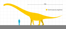 Yuanmousaurus Scale.svg