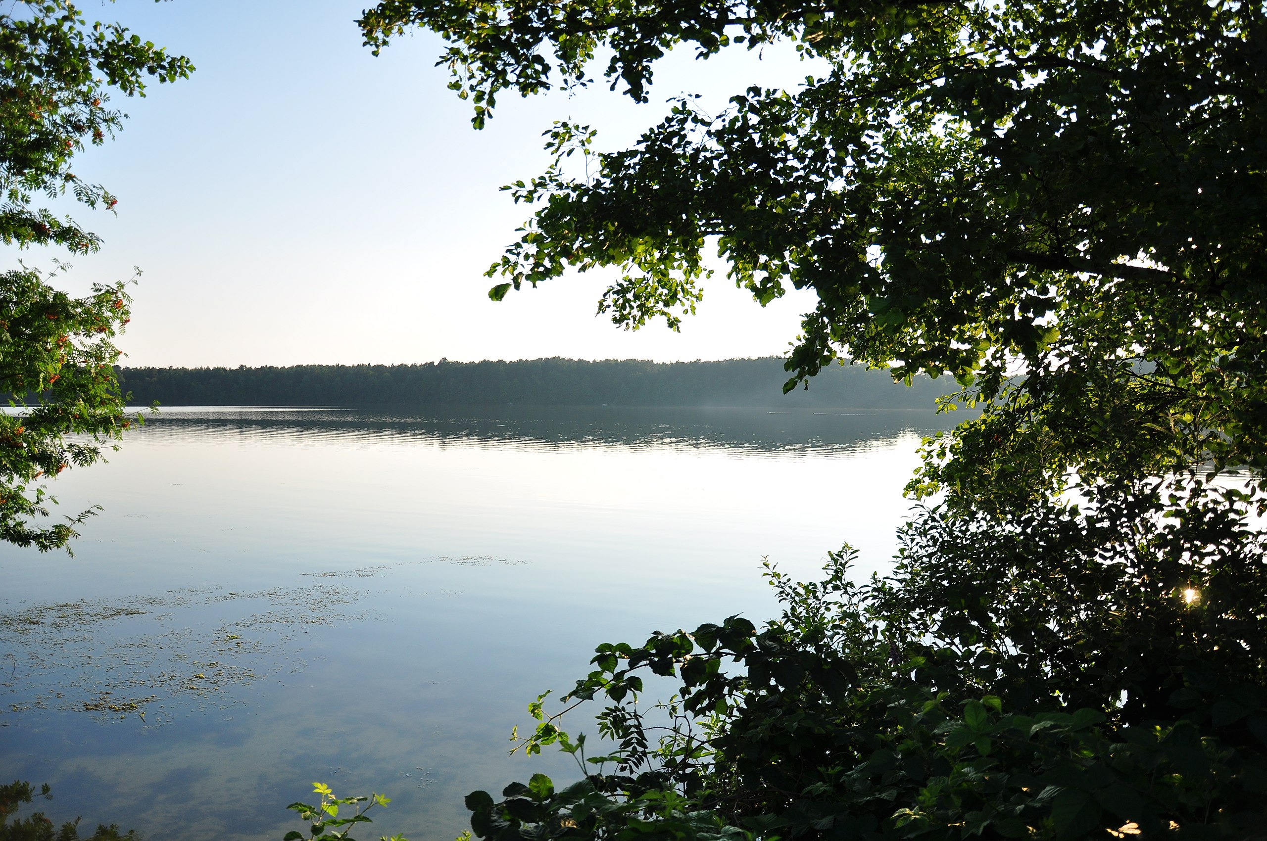 Озеро Светлояр Нижегородская