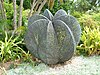 Escultura de cobre no Royal Botanic Garden de Sydney com folhas de palmeira dobradas