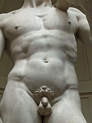 Sculptură De Michelangelo David: Date istorice, Analiză, Stilul