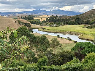 <span class="mw-page-title-main">Oparau River</span> River in New Zealand