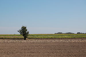 Fields near Żelechów, Poland.