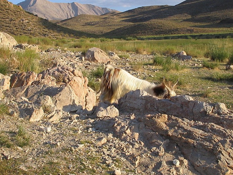 File:چمن - نصرآباد - panoramio.jpg