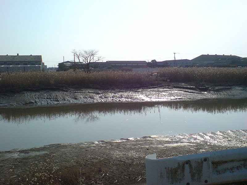 ファイル:佐賀線 花宗川跳開橋 跡.JPG