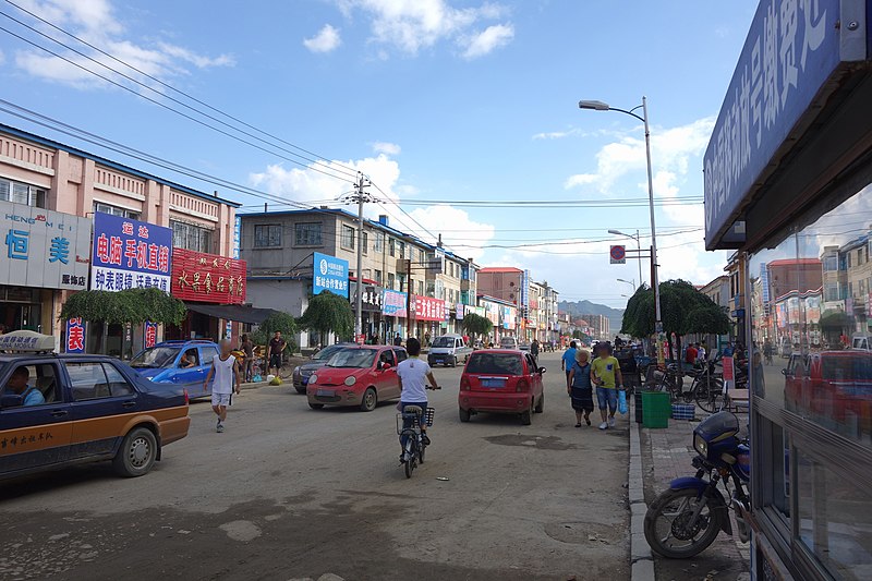 File:新站主要街道 main street - panoramio (1).jpg