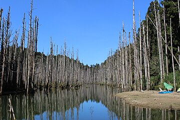 File:水漾森林相片.JPG