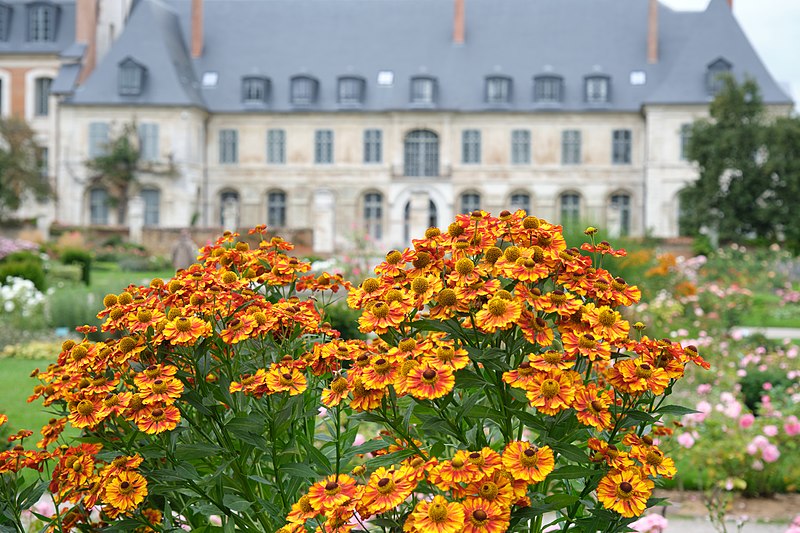 File:01 HDF - Somme - Argoules - Jardins de Valloires (2021-09-01 11-58-25).jpg