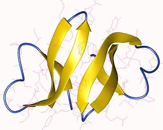 DEFA3 protein-coding gene in the species Homo sapiens