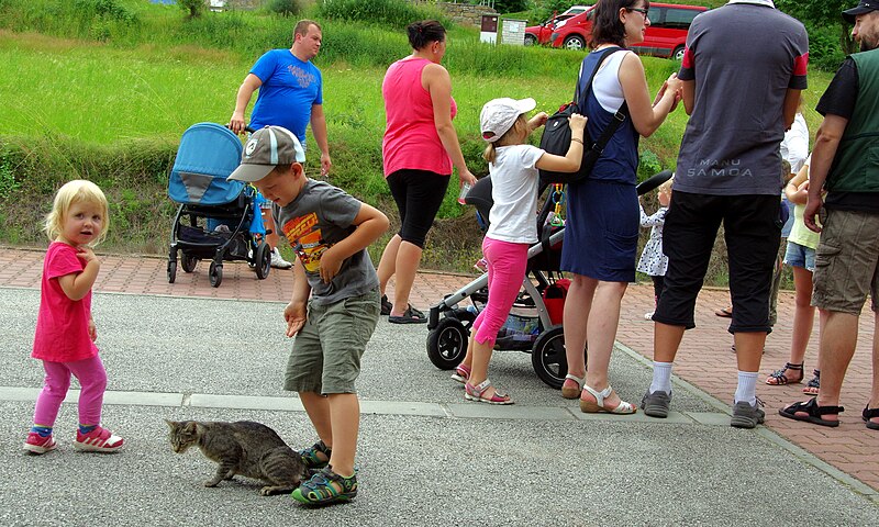 File:31.7.16 1 Malenice and the Raspbery Festival 79 (28092528213).jpg