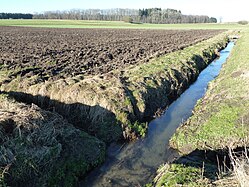 Ditches in Upper Swabia