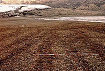 Vorne Frostmusterboden mit Steinstreifen, im Hintergrund der Thompson-Gletscher mit Stauchmoräne (1975)