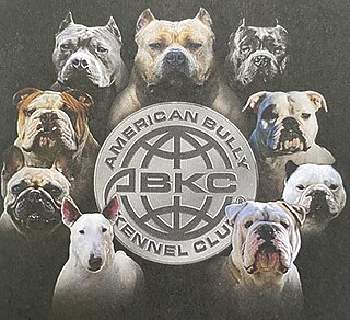 <span class="mw-page-title-main">American Bully Kennel Club</span> Registry for the American Bully