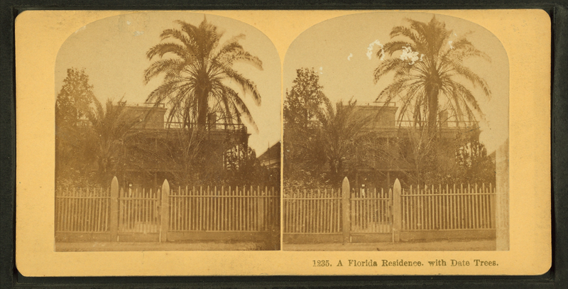 File:A Florida residence with date trees, from Robert N. Dennis collection of stereoscopic views 2.png