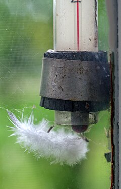 A feather caught on a thermometer