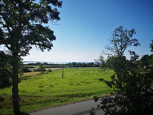 A view from Madise church