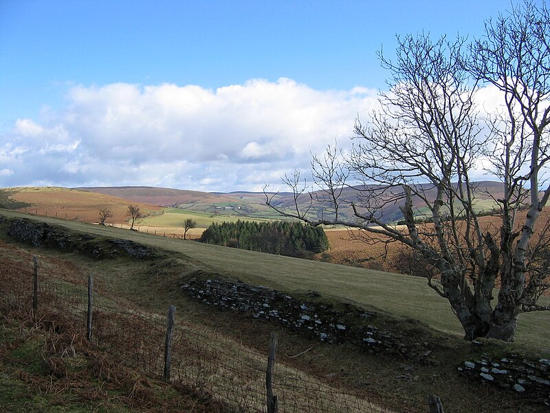 File:Above Pen-blaen - geograph.org.uk - 6087536.jpg