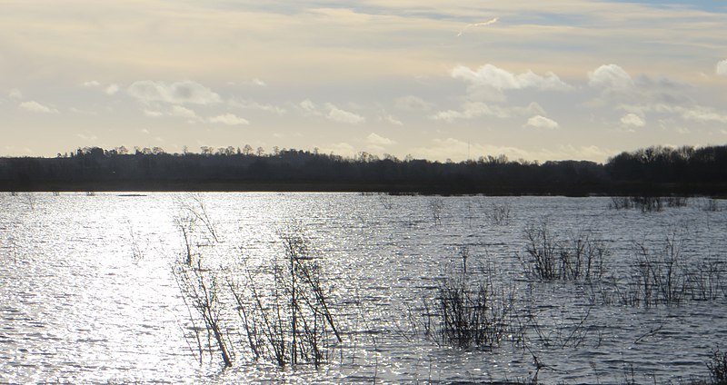 File:Across the water on a January afternoon - 2016 - panoramio.jpg