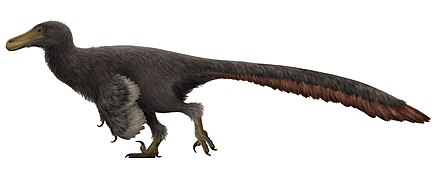 Life restoration of Adasaurus