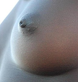 African Breast SG.jpg