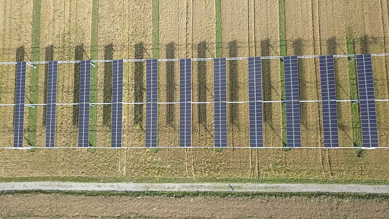 File:Agrivoltaics pilot plant at Heggelbach Farm in Germany 1.jpg