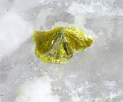 Alcantarillaite.jpg