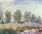 Alfred Sisley, Łąka na wsi, 1880