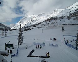 Alta Ski Area, February 2011