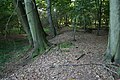 Wallanlage "Altenburg" bei Hanau-Mittelbuchen, Hessen, Blick entlang des östlichen Walls.