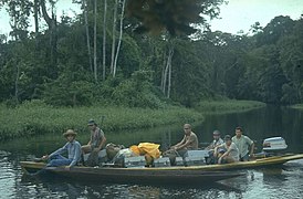 Photo of the Amazon jungle in the Lagunas District of the Alto Amazonas Province, in the Department of Loreto, in Peru. This photo was taken in 1971 while working as a Geophysical Observer in oil exploration for Petty Geophysical.