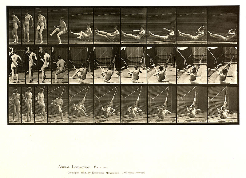 File:Animal locomotion. Plate 261 (Boston Public Library).jpg