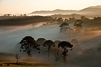 Parque nacional