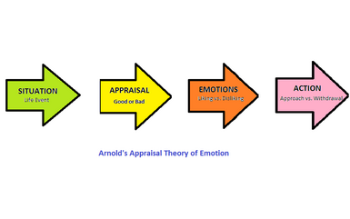 Appraisal Model in Arnolds