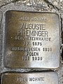 image=https://commons.wikimedia.org/wiki/File:Auguste_Preminger.jpg