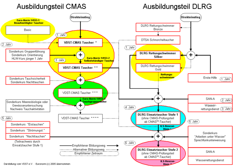 Training path of the DLRG