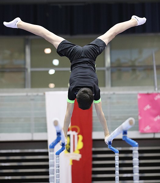 File:Austrian Future Cup 2018-11-23 Training Afternoon Parallel bars (Martin Rulsch) 0595.jpg