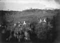 Avfärd fr. Amborovy. Datum, 1907. Ort, Amborovy, Madagaskar. Amborovy - SMVK - 021846.tif