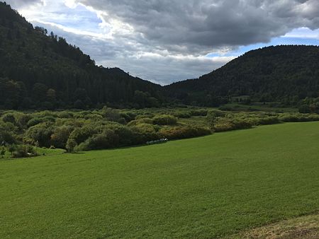 Bära Naturschutzgebiet Galgenwiesen 02