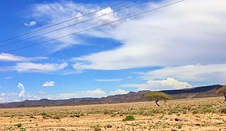 <span class="mw-page-title-main">Grand Bara</span> Desert in Djibouti