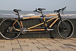 Thumbnail for Bamboo bicycle